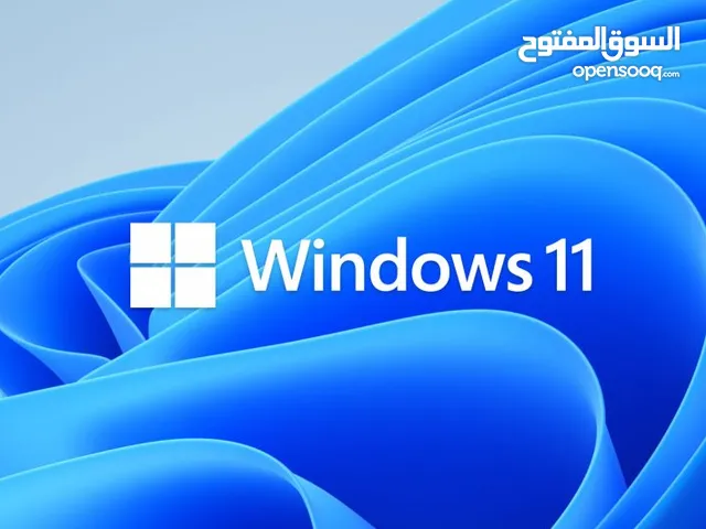 Windows 11 Installation with Activation