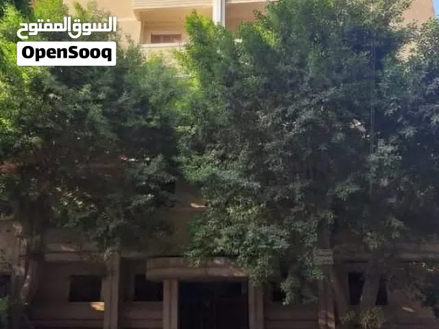 عقار للبيع مجهز فندق او مستشفى او عيادات في الهرم مدكور موقع مميز فرصة استثمارية للجادين