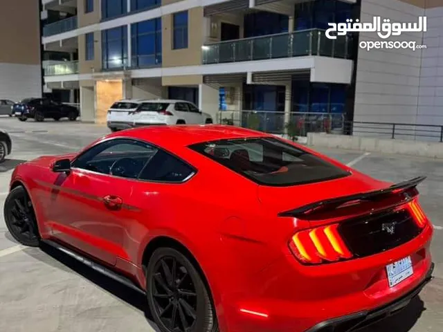 Used Ford Mustang in Baghdad