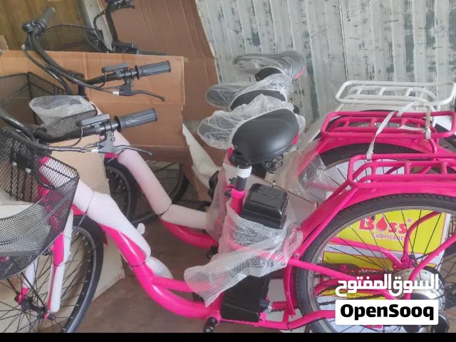 electric bicycle