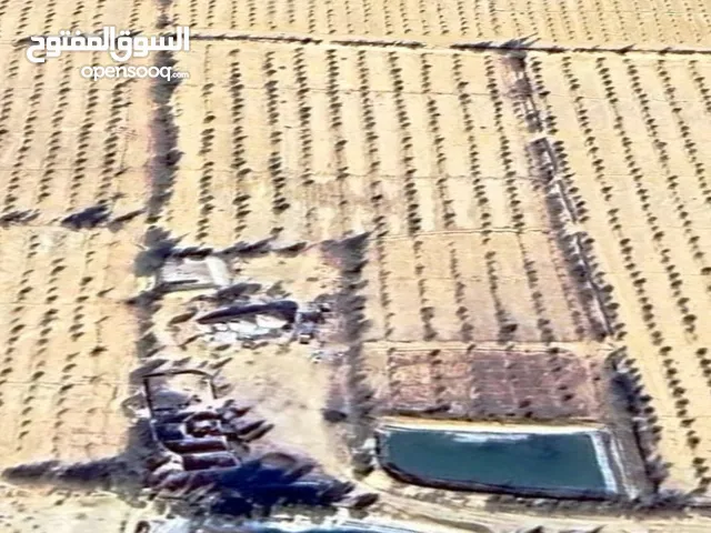 Mixed Use Land for Sale in Matruh Alamein