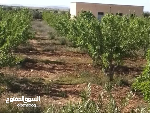 1000 هكتار للبيع في تطاوين