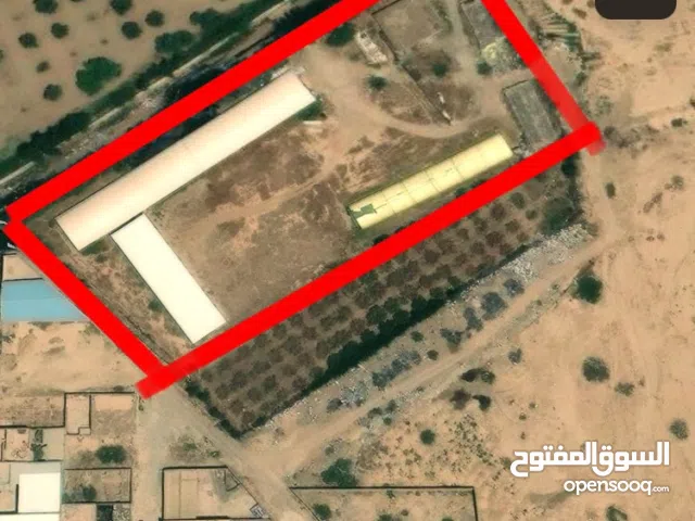 Mixed Use Land for Sale in Mascara Other