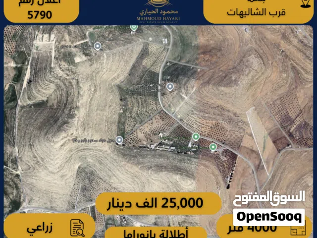 إعلان رقم (5790) أرض زراعية للبيع في بلعما – قرب الشاليهات الإطلالة بانوراما خلابة