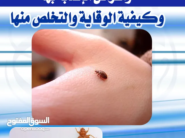 مكافحة الحشرات في صنعاء مكافحة الكتن في صنعاء مكافحة الصراصير في صنعاء مكافحة بق الفراش في صنعاء