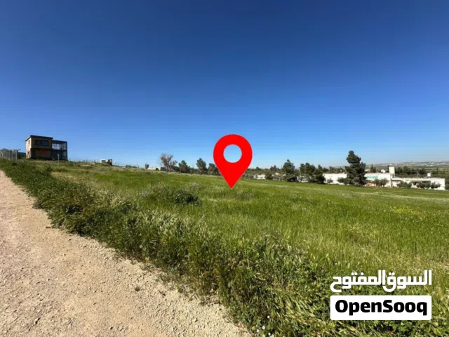 Farm Land for Sale in Amman Sufa