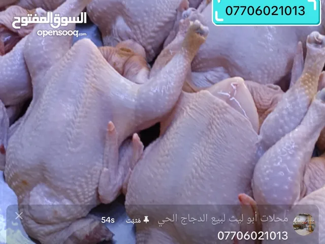 دجاج درجه اوله