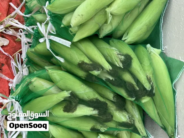 السلام عليكم ورحمة الله وبركاته يتوفر لدينا ذره سكريه آخر الموسم تقريبا مع 100 كيس  في الكيس ما اقل