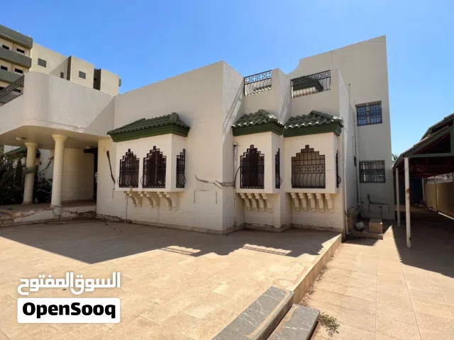 كافوري مربع 11