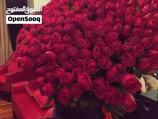 أريد عمل فى أشراف عام فى مدرسة خاصة       أ