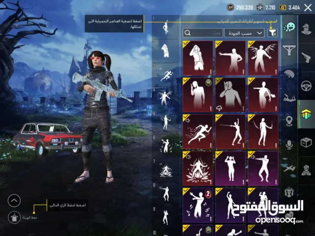 Pubg Accounts and Characters for Sale in Basra