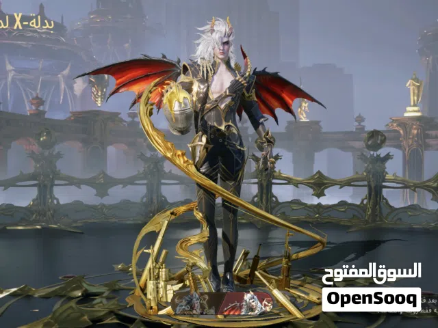 Pubg Accounts and Characters for Sale in Mafraq