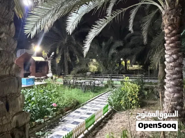 شاليه للبيع البصره ابي الخصيب