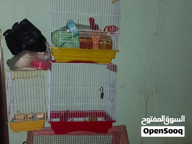 اقفاص نظيفه للطيور