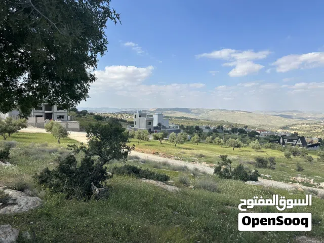 Residential Land for Sale in Zarqa Al-Alouk