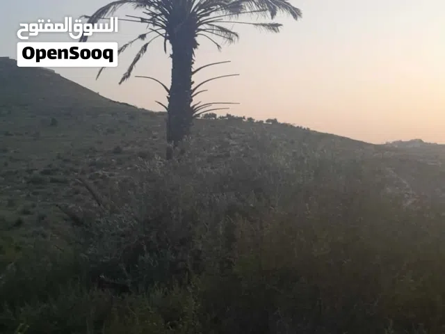 اراضي بقرى جنين طابو سلطه كميه كبيره