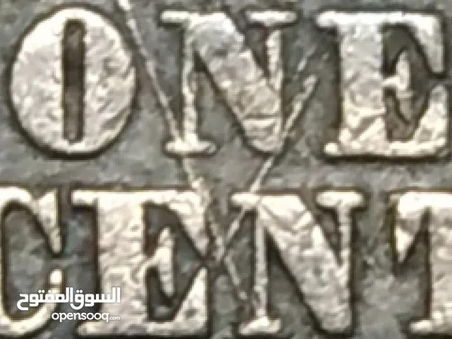 سنت أمريكي راس الهندي للليع