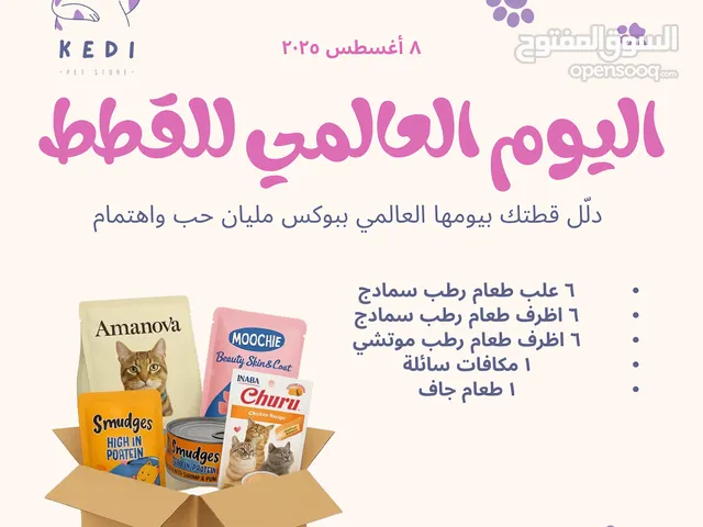 بوكس يوم القطط العالمي