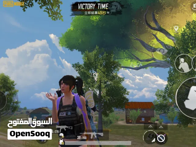 Pubg Accounts and Characters for Sale in Northern Governorate