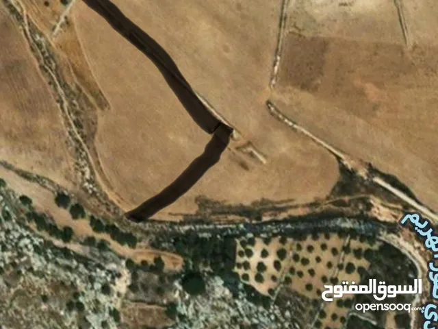 Farm Land for Sale in Hebron Dura