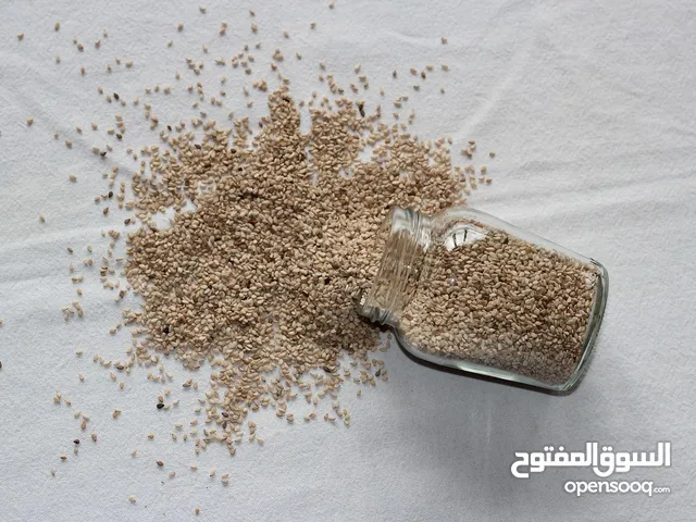 شركة سبل للخدمات العالمية تقدم منتج السمسم الاحمر خااام بجوده عالية في مخازن بورسودان