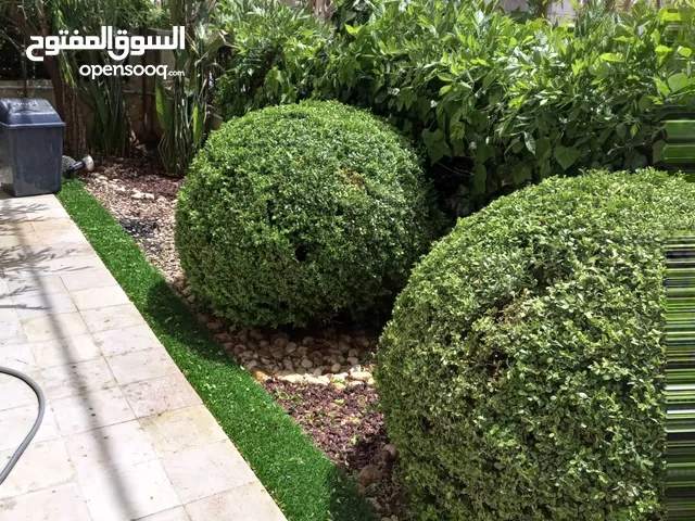 تقليم اشجار