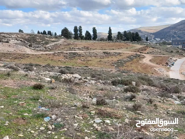 Residential Land for Sale in Nablus Asira Ash-Shamaliya