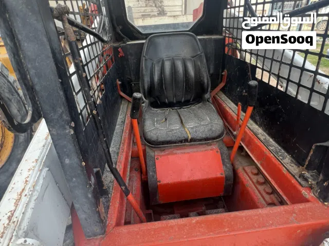 كشيك بوب كات انجليزي للبيع مكان مصراتة