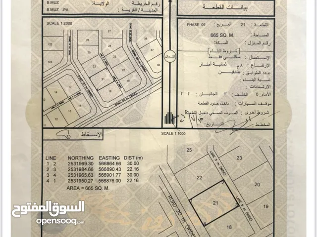 أرضيين شبك في بركه الموز