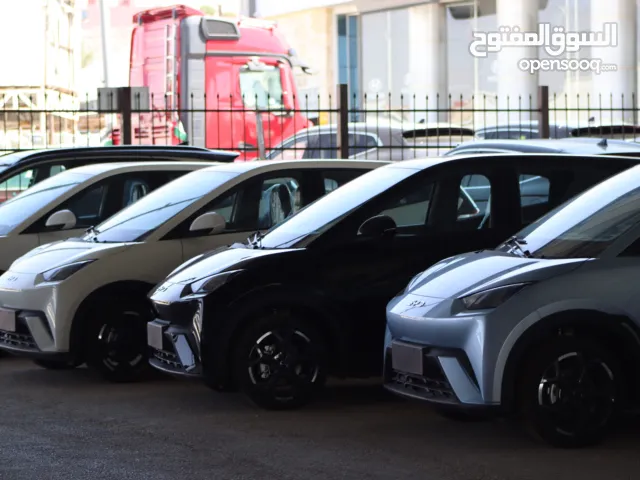 2024, بي واي دي, سيجول