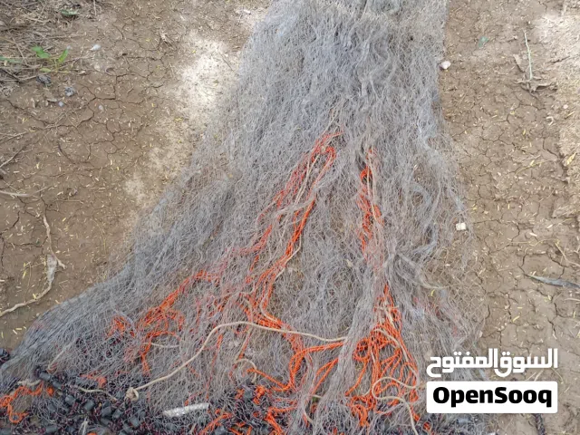 سليه مستعمله ارتفاع 3 متر عين اصبع