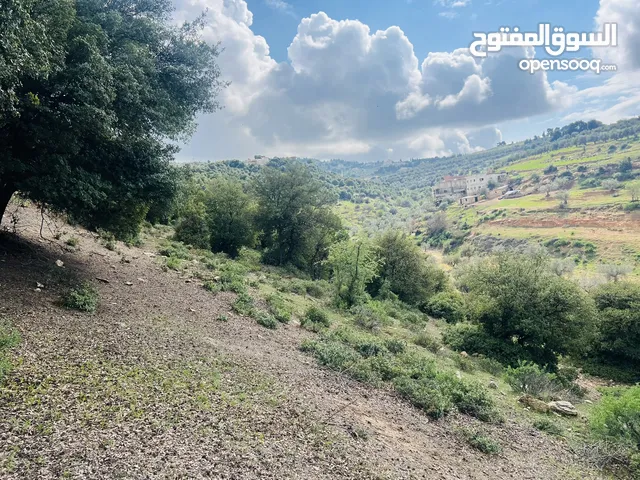 Farm Land for Sale in Salt Zay