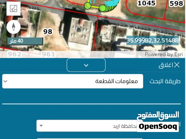 ارض للبيع الرمثا حوض البركة الجنوبيه مقابل قصر فايز
