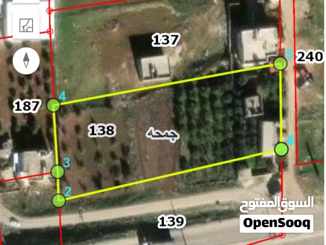 Farm Land for Sale in Irbid Jumha