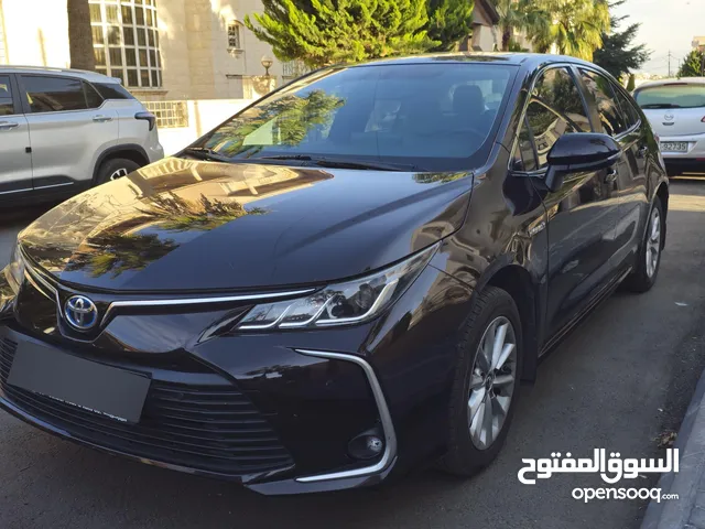 Used Toyota Corolla in Amman
