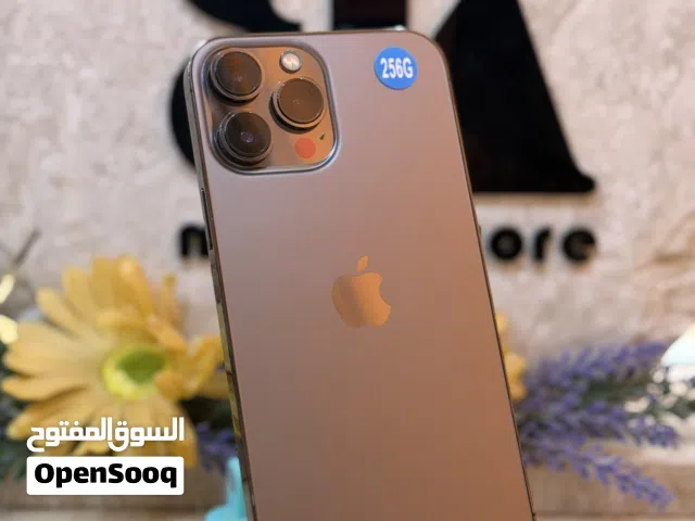 13 برو ماكس 256 جيبي (بيع فقط)
