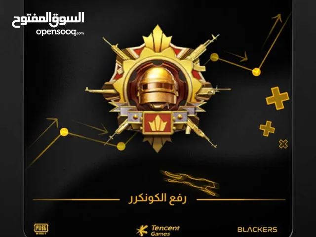 Pubg Accounts and Characters for Sale in Irbid