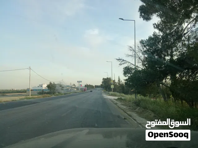 Farm Land for Sale in Madaba Other