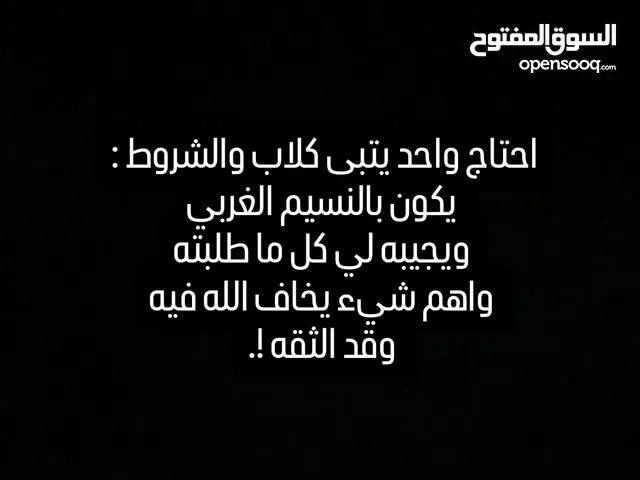 ابغى ناس يتبنون كلاب