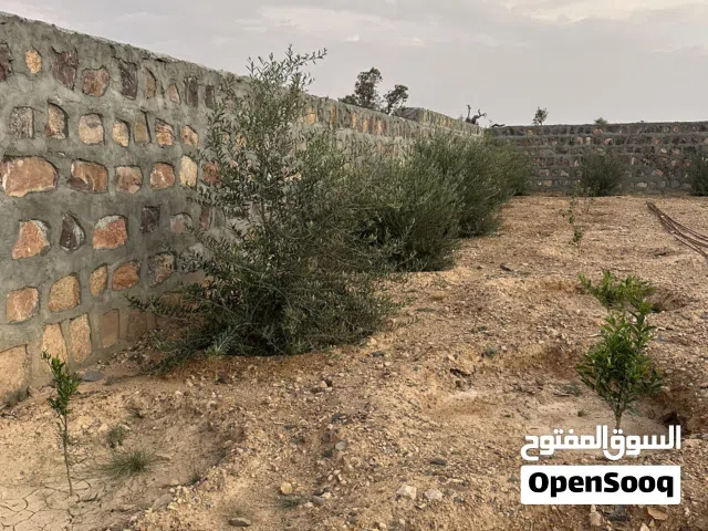 Residential Land for Sale in Al Dakhiliya Nizwa