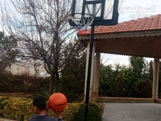 ستاند سله ستاندر مقاس 305سم قابل للتعديل لوح اكريليك أعلى صنف وأفضل الاسعار خدمة توصيل وتركيب