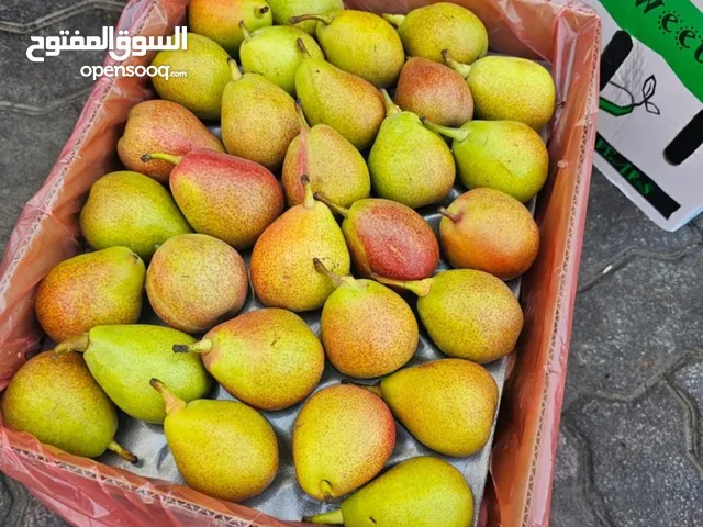 مطلوب ممول او شريك للاستثمار في تجارة دولية مواد غذائية