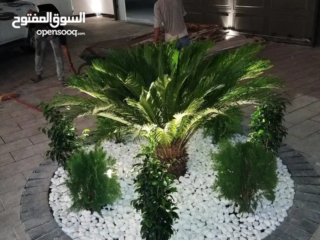 احوض زراعة
