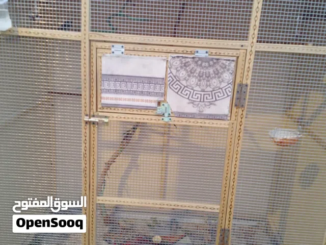 محمية بلابل للبيع