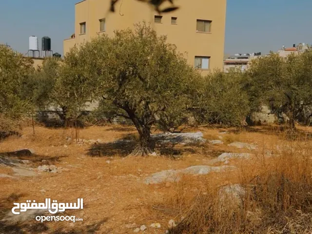 ارض مميزة للبيع في حي الصوانة في طولكرم