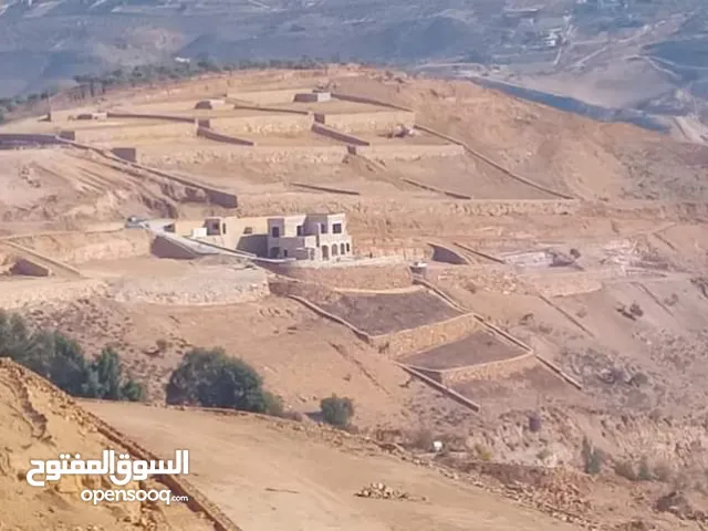 استصلاح اراضي وبناء شالايهات