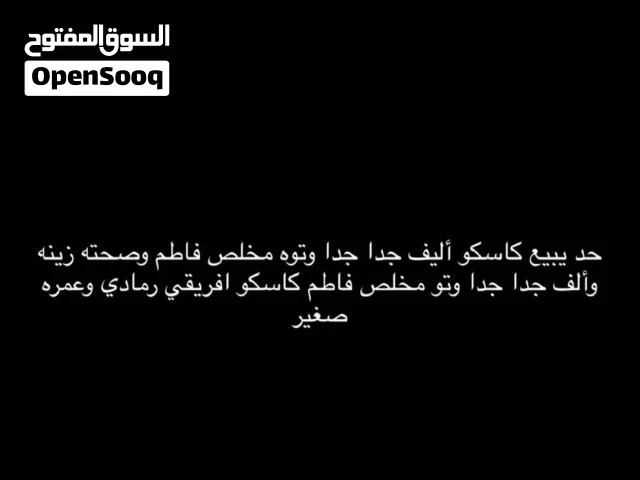 كاسكو توه مخلص من فاطم وصغير وصحته تمام