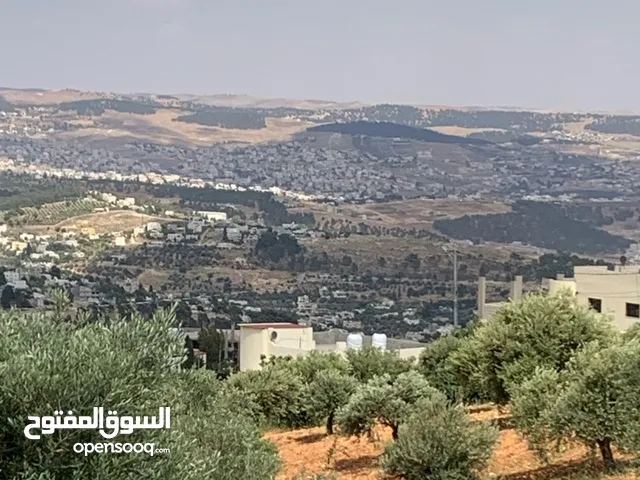 مزرعه للبيع محاذيه لغابات دبين اطلاله مرتفعه....