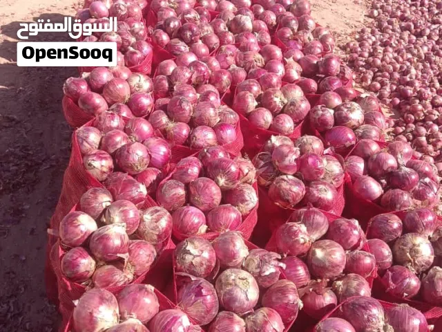 بصل احمر “بصل بلدي أحمر طازج للبيع ” الوصف:بصل احمر “بصل بلدي أحمر طازج للبيع،،،،،، الوصف:من اليمن،