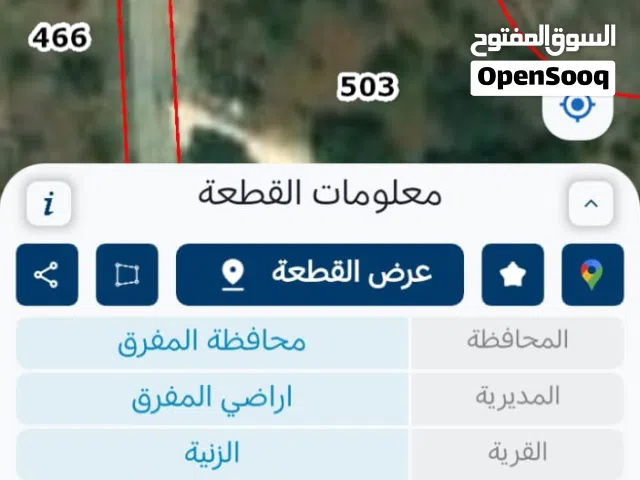 ارض للبيع الزنيه الزيتونه مشجره زيتون مثمر 45 شجره